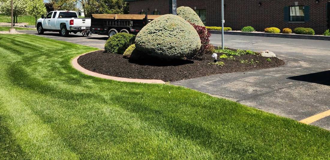 Rounded, freshly trimmed shrubs in a mulched bed beside a parking lot